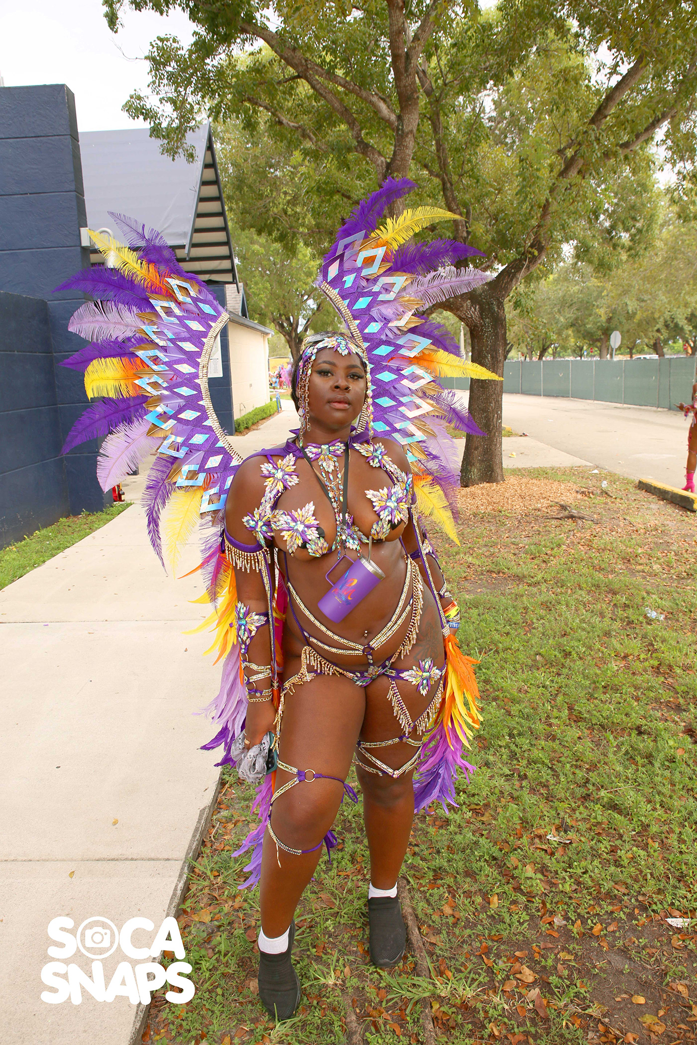 miami florida music feathers color Carnival Miami Carnival Soca