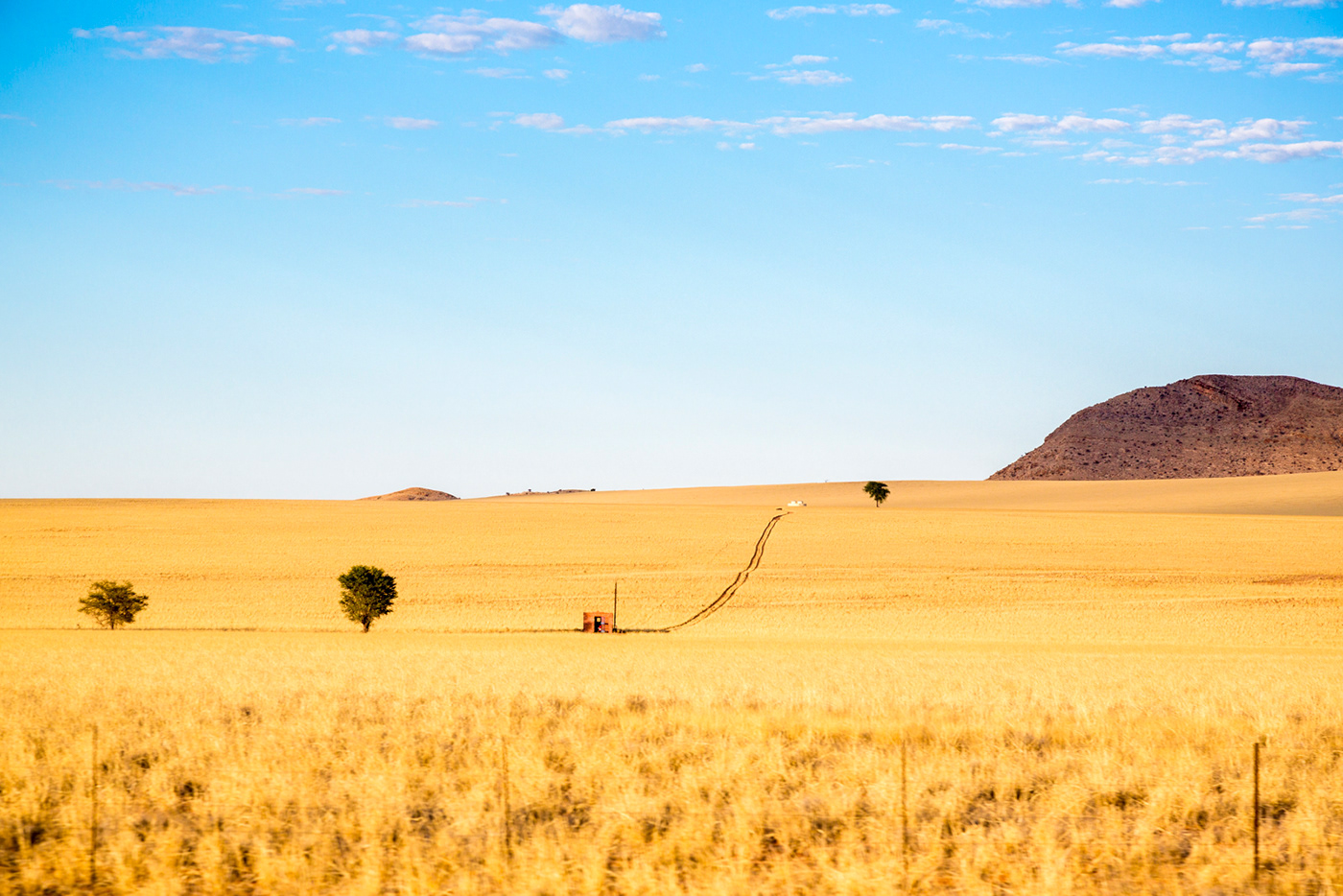 desert Namibia Namib desert matt mawson