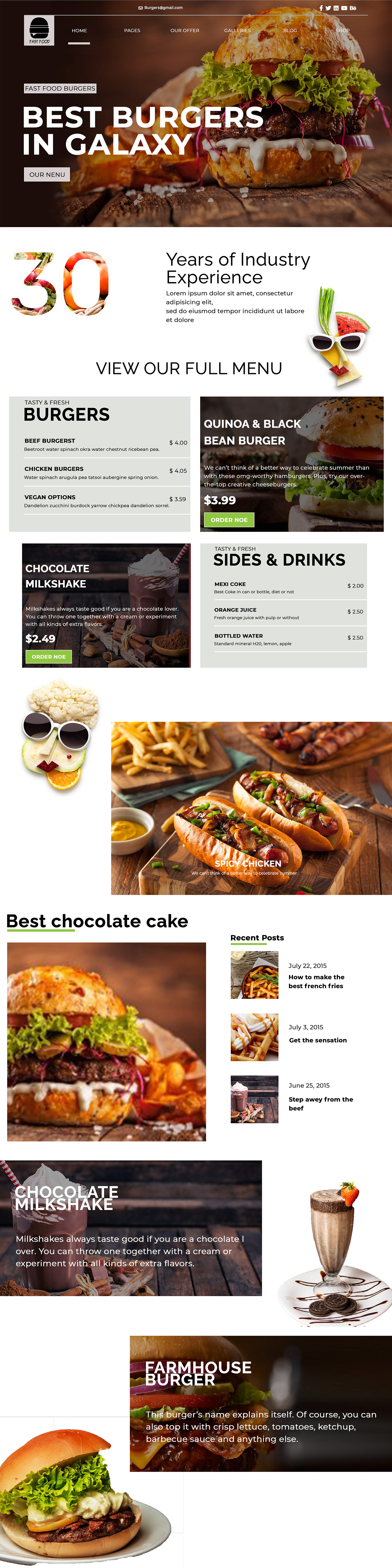 Fast food graphic design  Web Design 