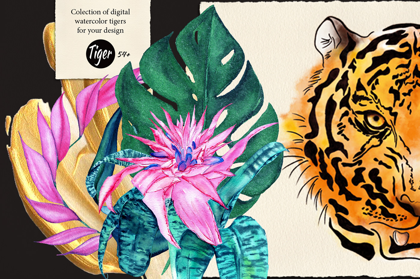 Wild Tiger watercolor collection