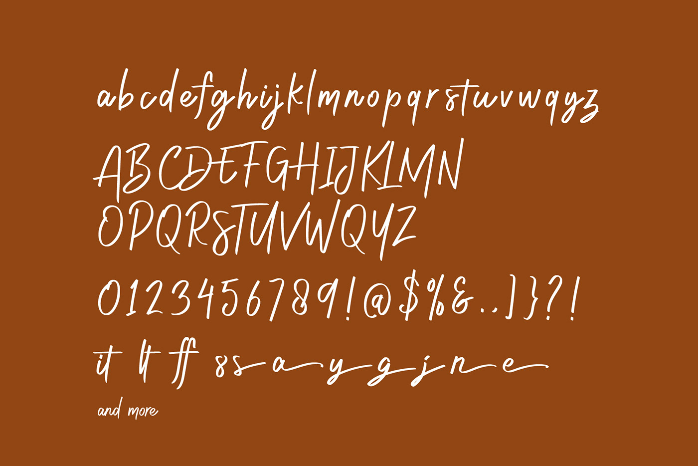brand identity design font handwriting Logo Design Logotype typography   vector