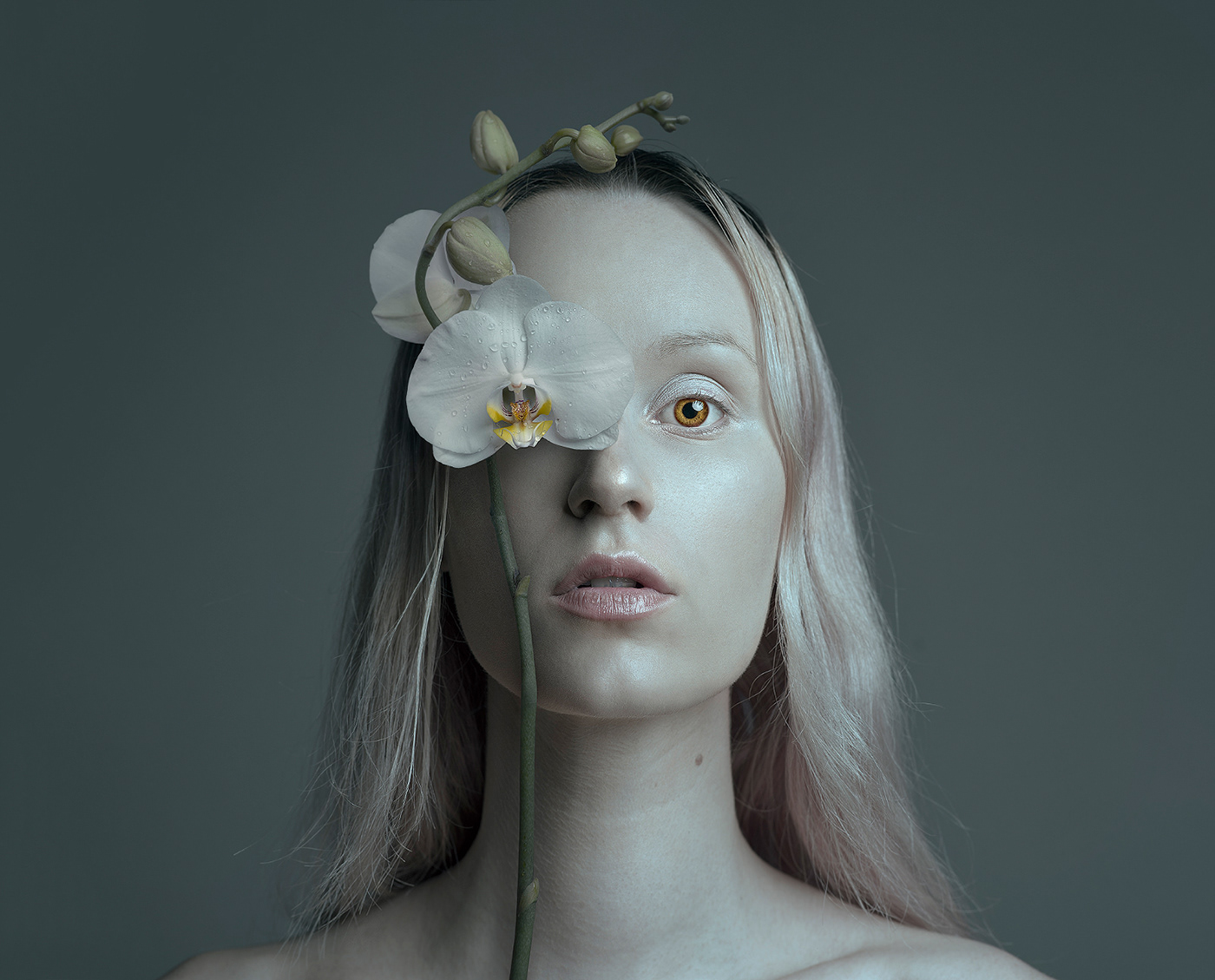 Hasselblad portrait surrealism conceptual contemporary Photo Manipulation  self portrait emerging artist
