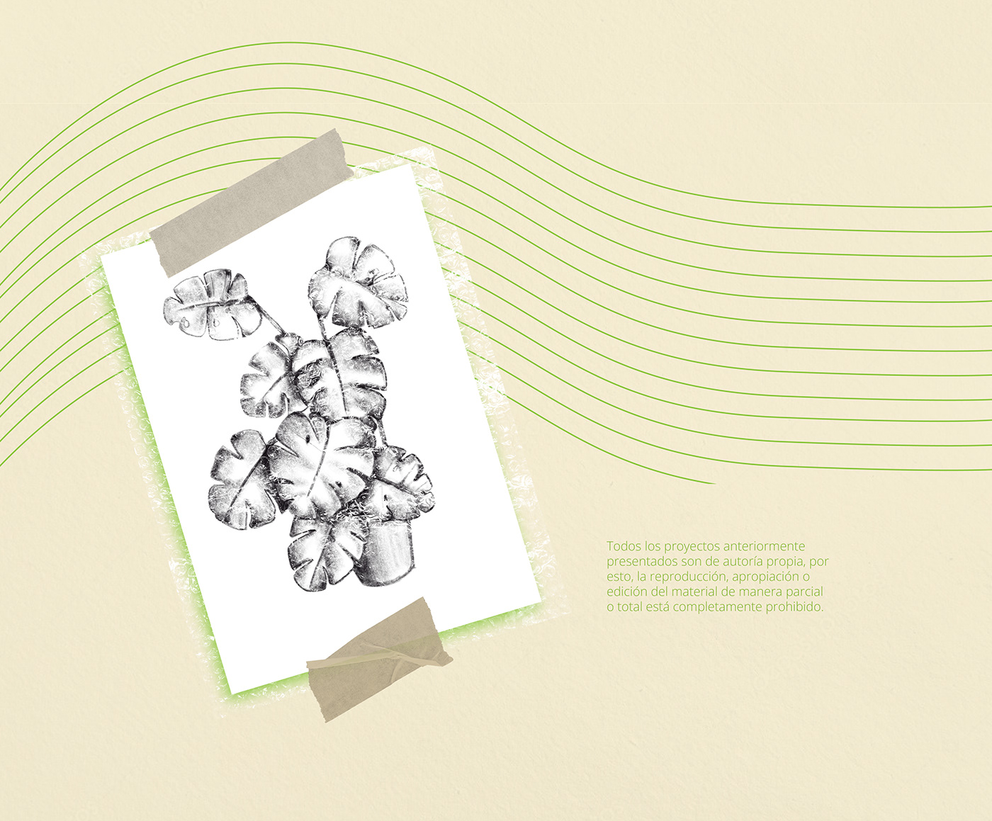 3d max art botanical illustration diseño gráfico Drawing  ILLUSTRATION  ilustrator marca plants portafolio