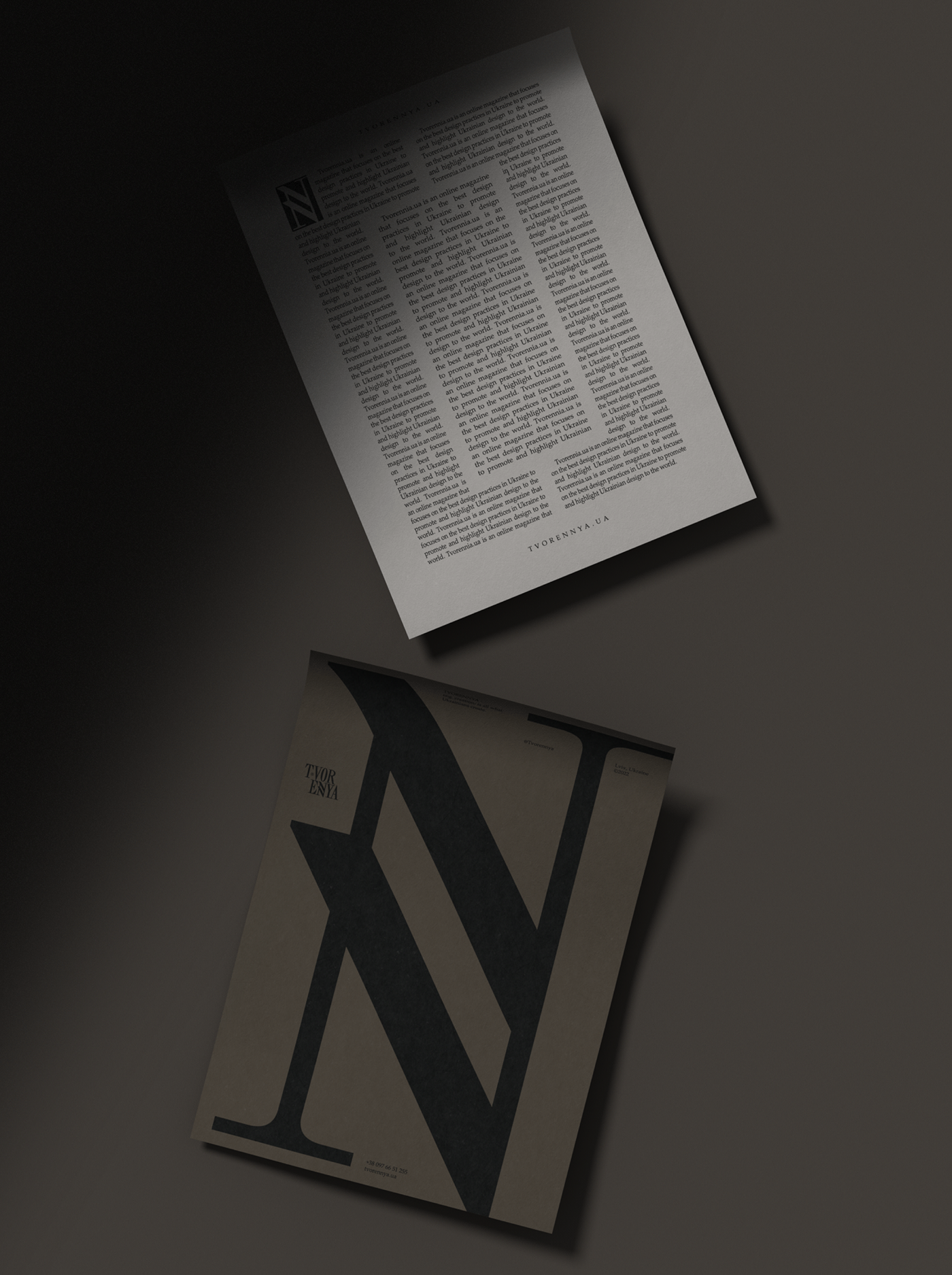 lettering logo magazine Minimalism Website brand identity Logotype Webdesign