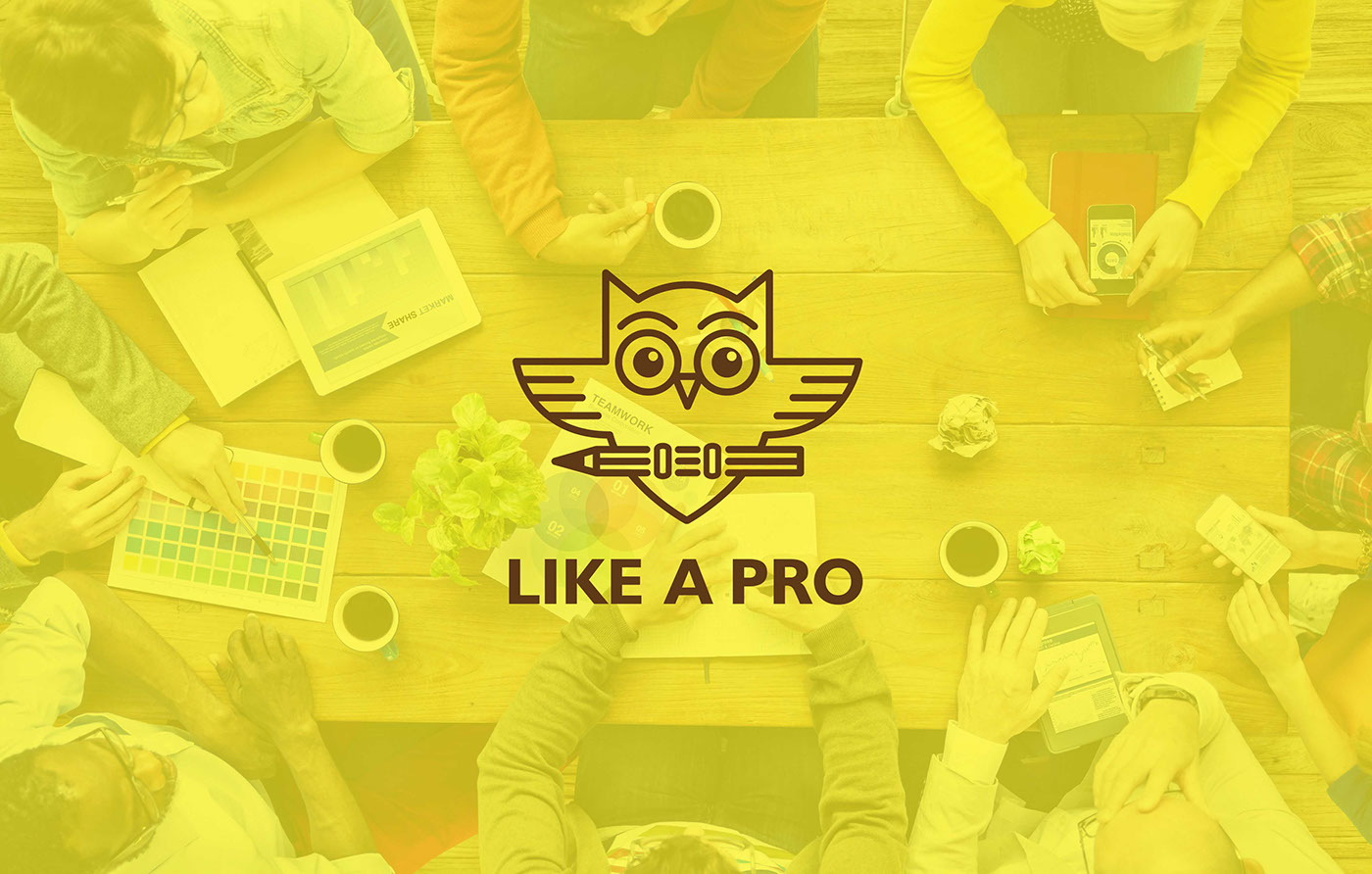 like a pro Logo Design creative studio India