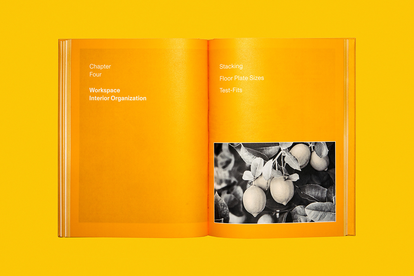 book book cover book design branding  editorial print print design  typography   publishing   real estate