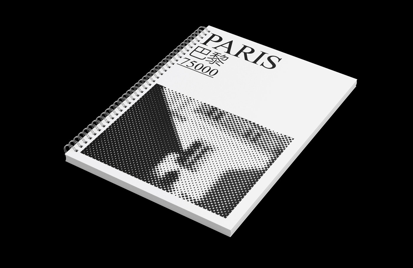 typography   graphic design  editorial design  art direction  art publication Zine  fanzine Travel Paris