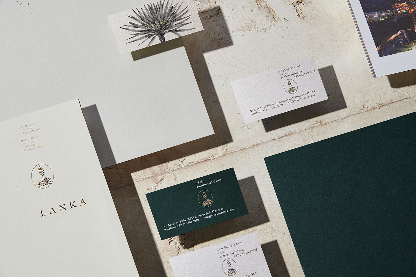 anagramastudio Lanka emblemcapital mexico huasteca yucca Nature splatters realestate branding 