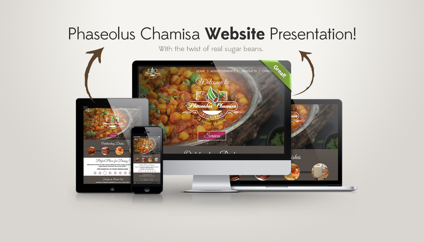 web designing advertisement Zimbabwe Phaseolus Chamisa School Project school Mockup graphics