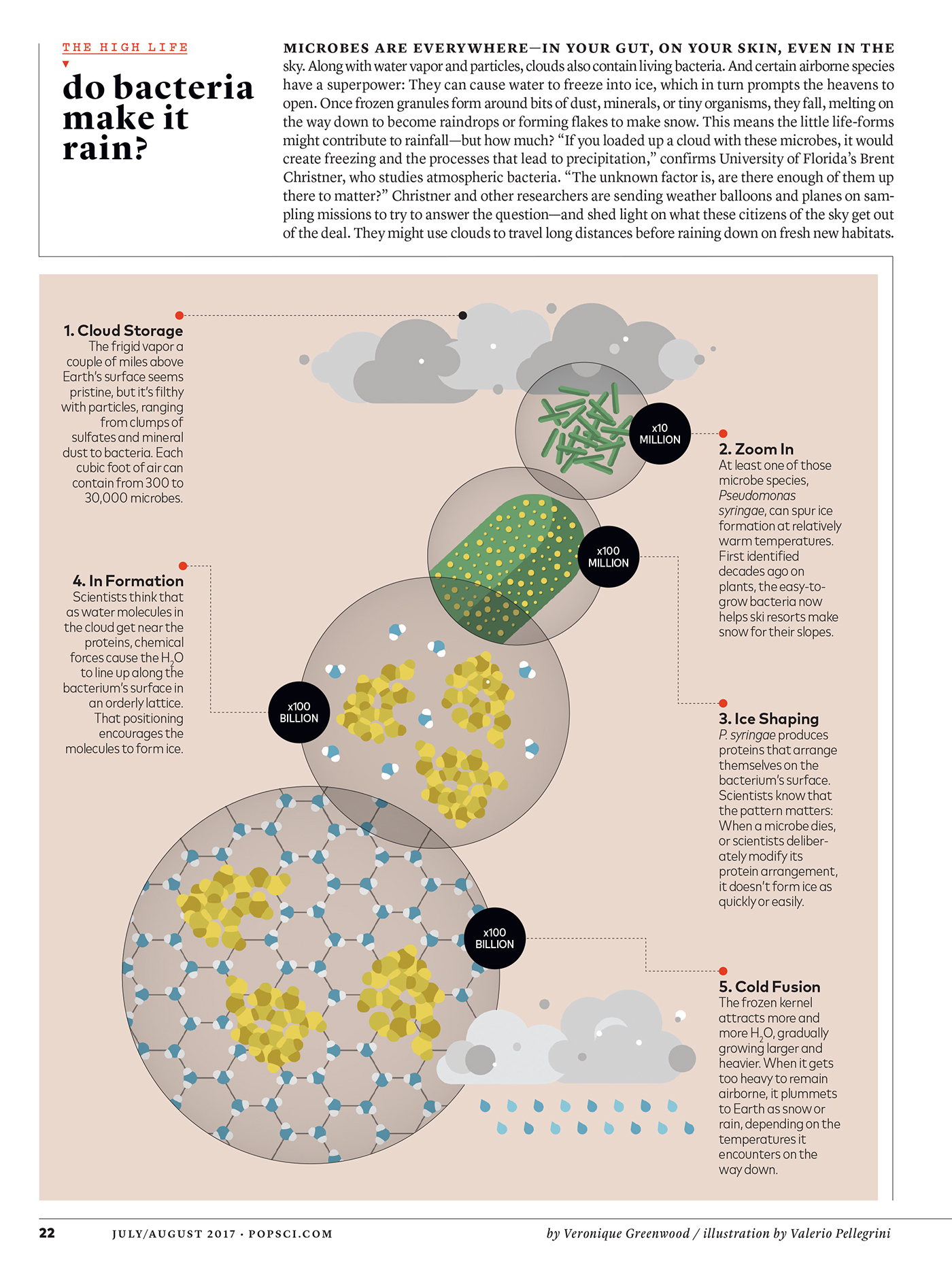 Data data visualization infographic ILLUSTRATION  design art graphic Popular Science science magazine