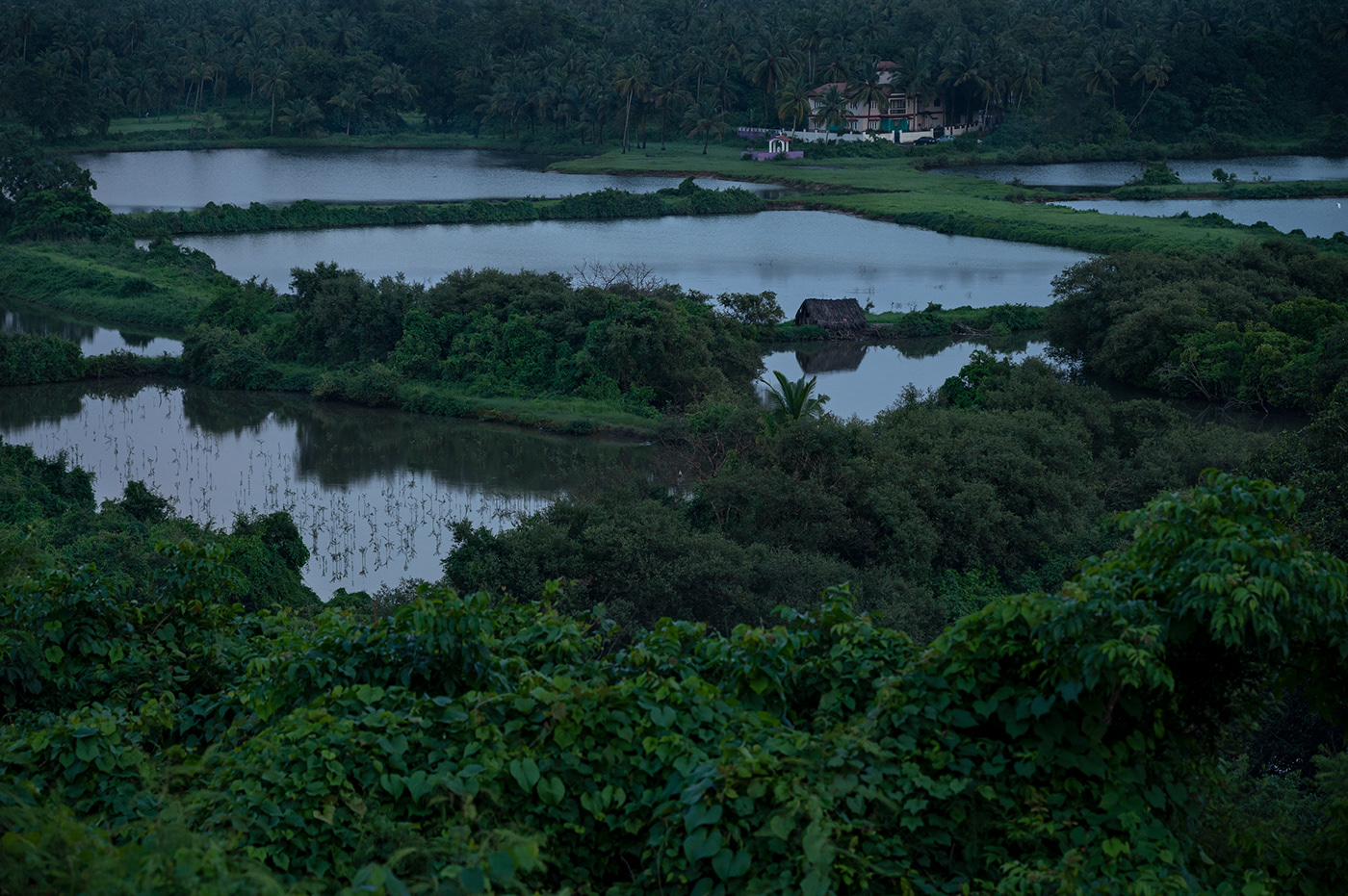 Outdoor Nature monsoon rainy Goa houses Landscape Photography  greenery SKY