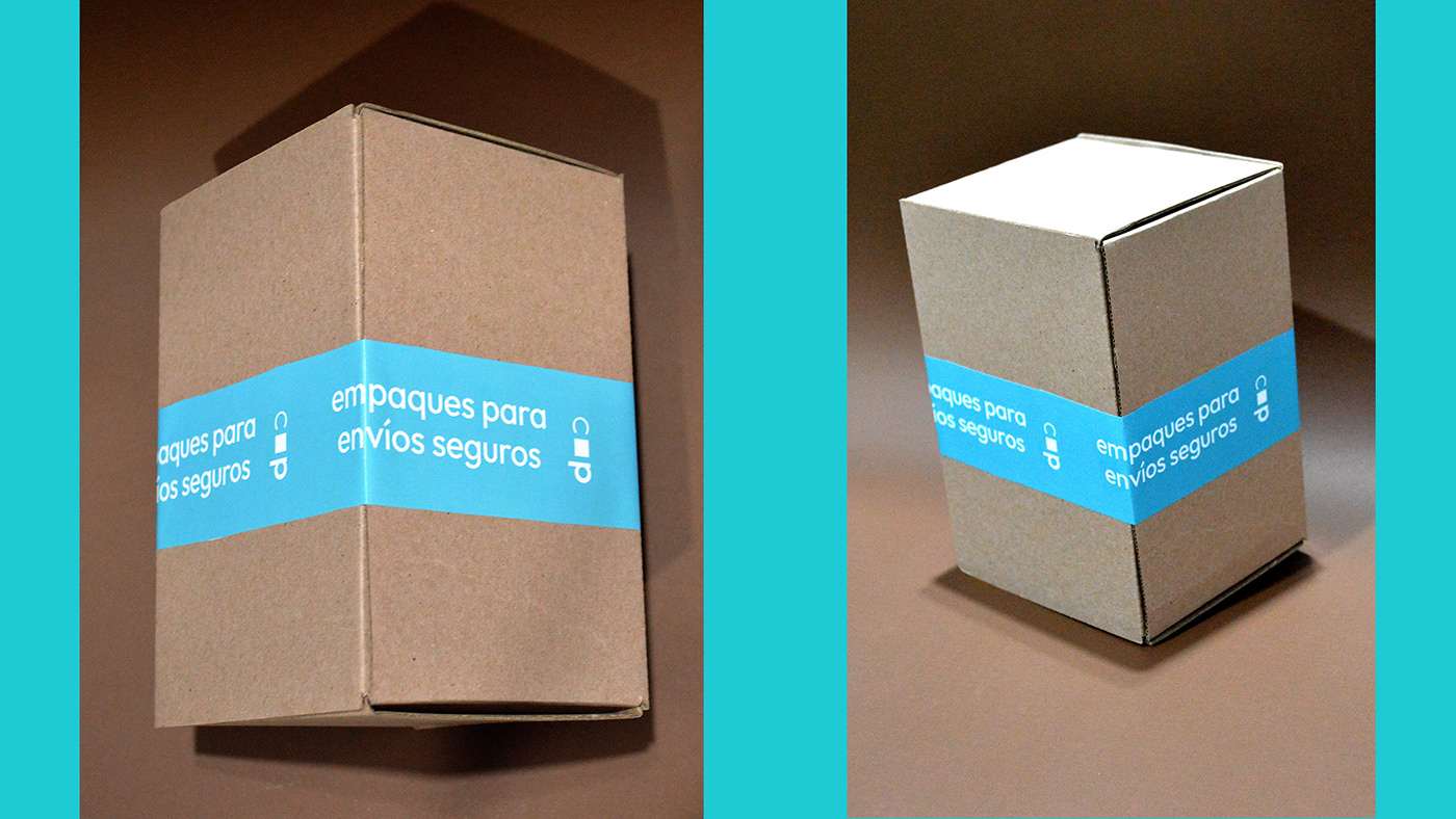 box Brand Design branding  graphic design  logo Logo Design package Packaging packaging design visual identity