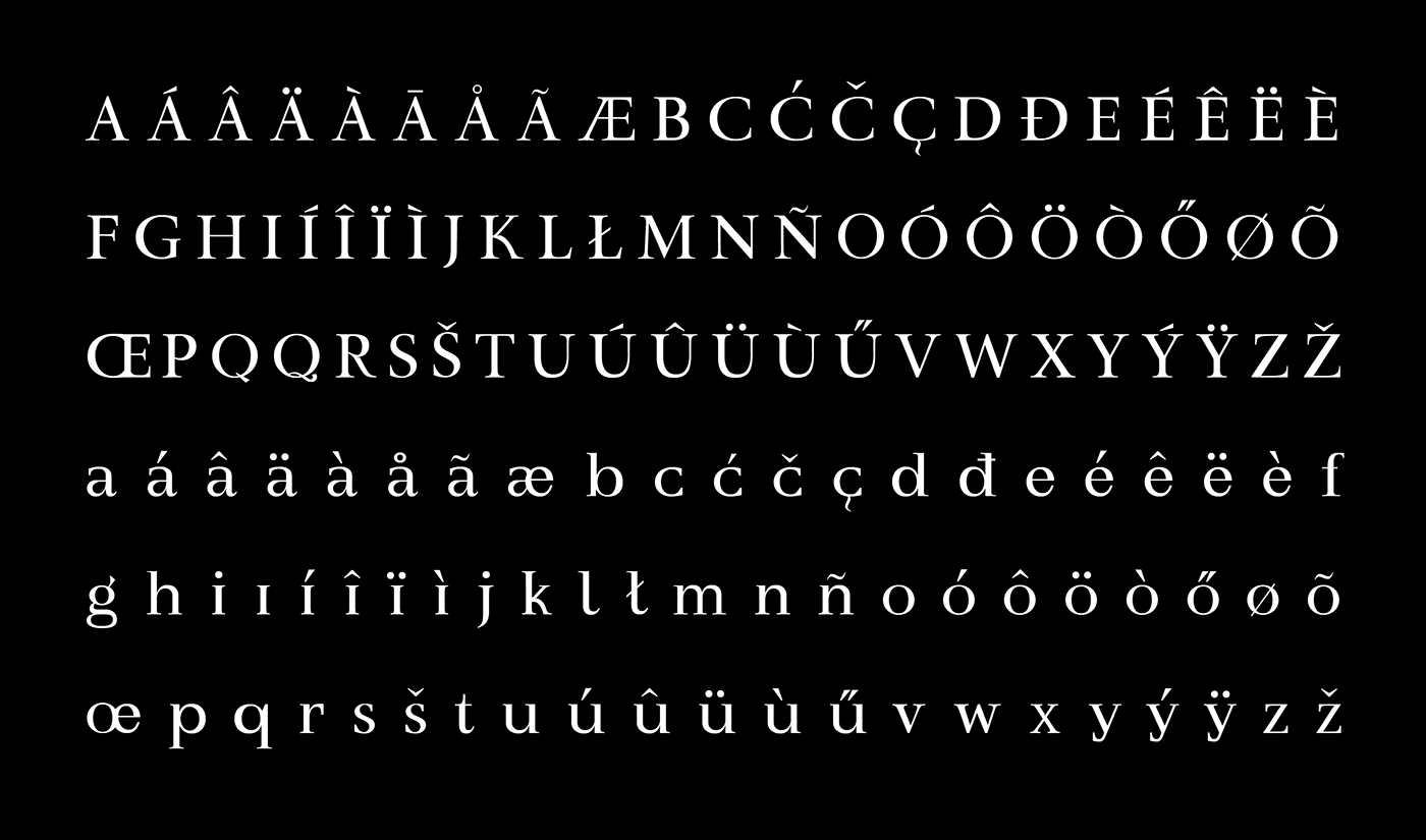 font serif Typeface typography  