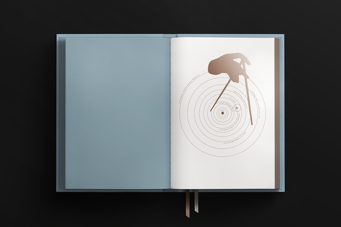 Adobe Portfolio calendar book book cover design Layout art
