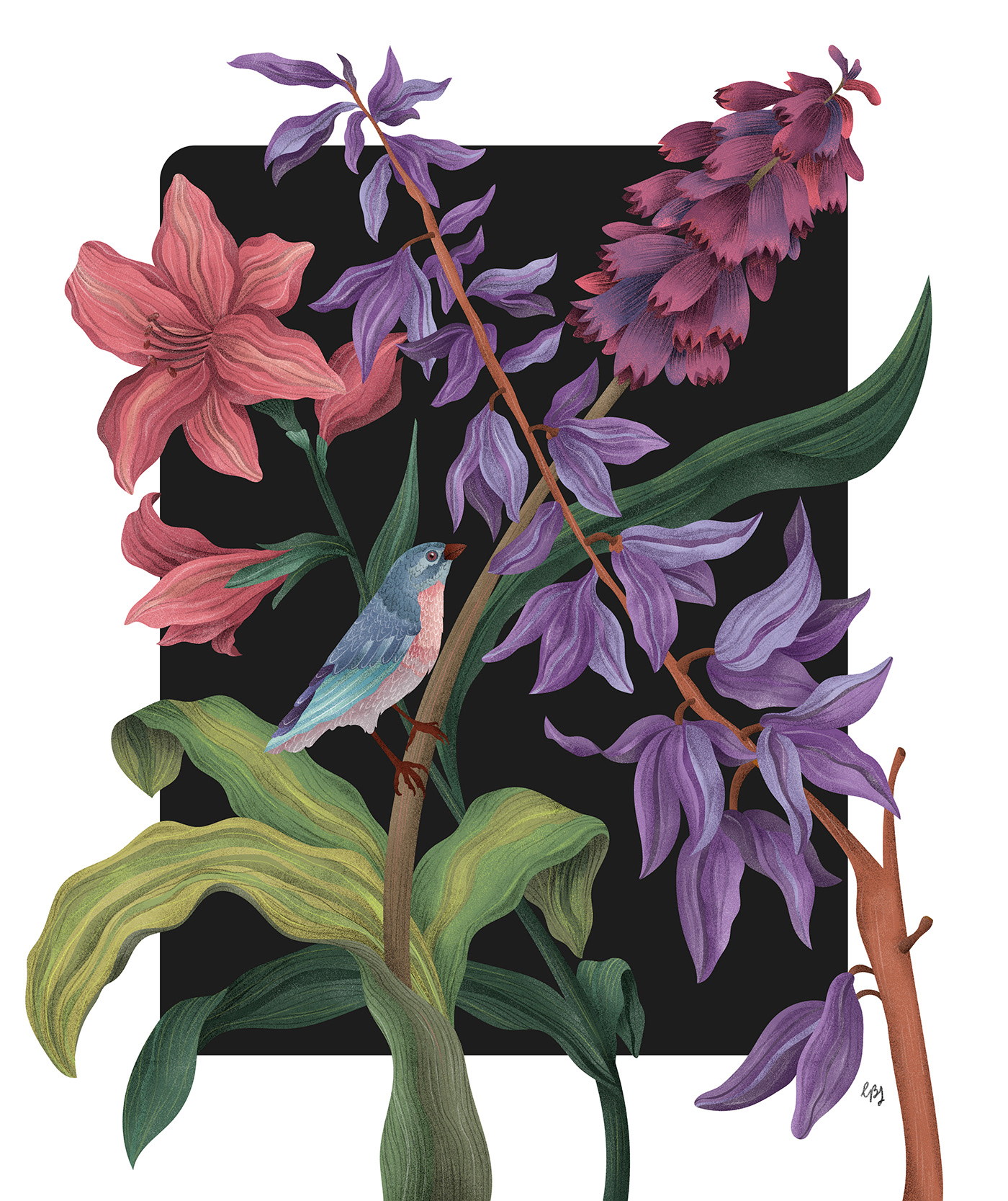 birds botanical floral Flowers ILLUSTRATION  Illustrator Positive Quotes reminder typography  