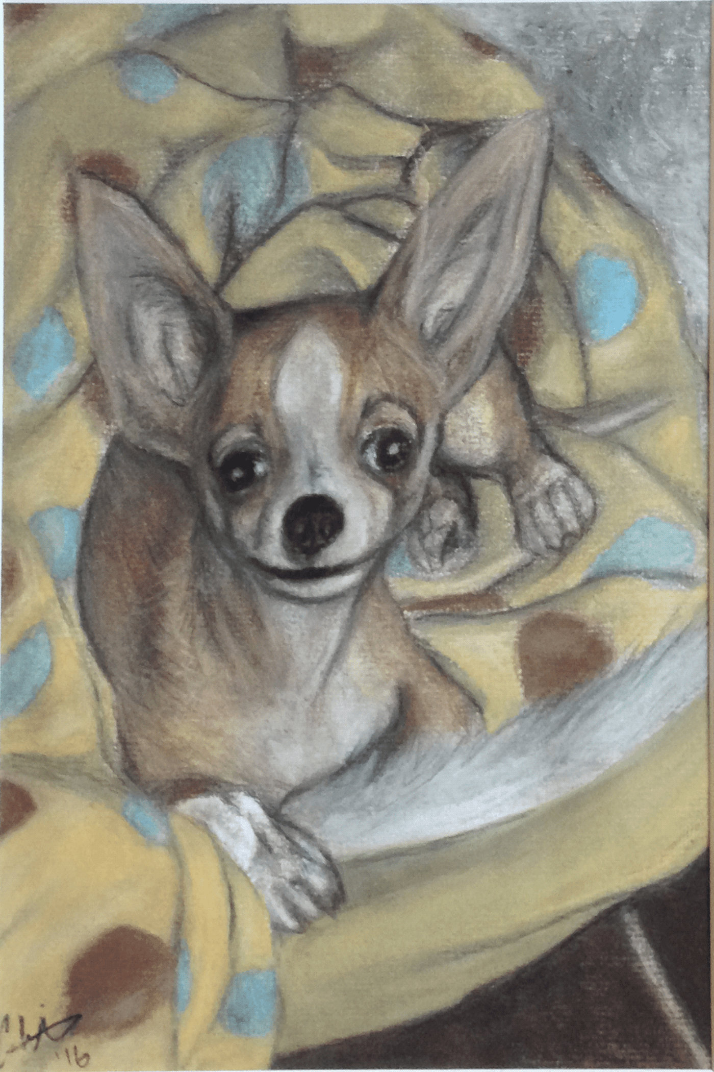 Pastel and charcoal portrait of my pet chihuahua Bogart in his bed when he was a puppy