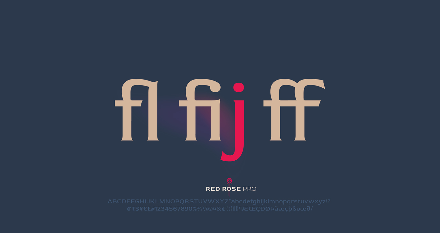 red rose Typeface Display font Latin Love India