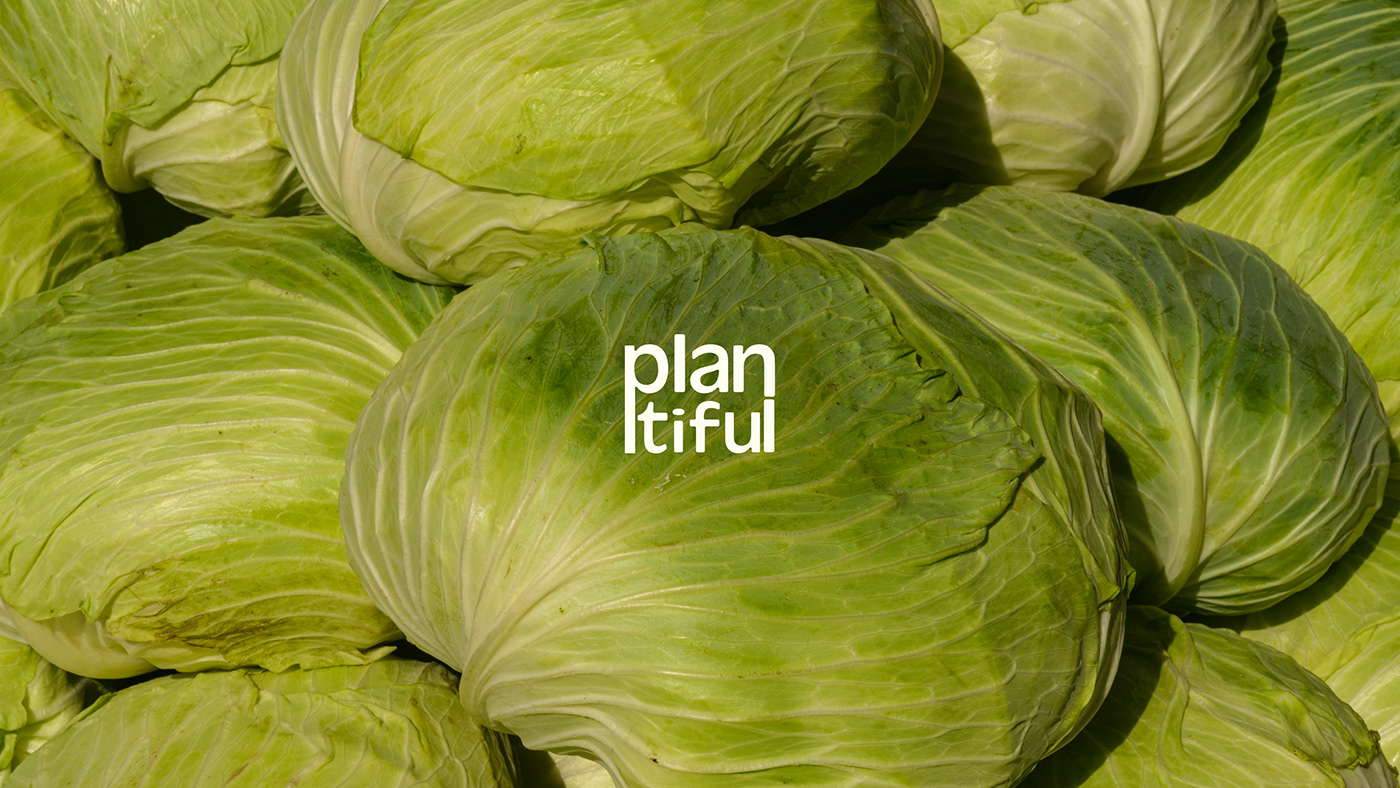 brand identity branding  Brand Design vegan branding Plant Based ready meals typography design ready meal packaging vegan brand identity