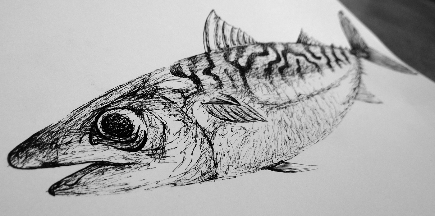 fish ink animal black White brittany sea ship bretagne poisson Encre bateau screen-printing