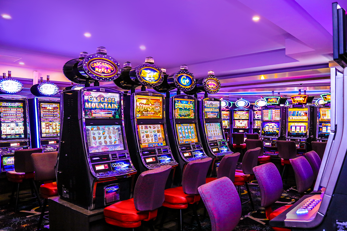 casino panama Photography  Canon fullcolors ISO pokers money dollars