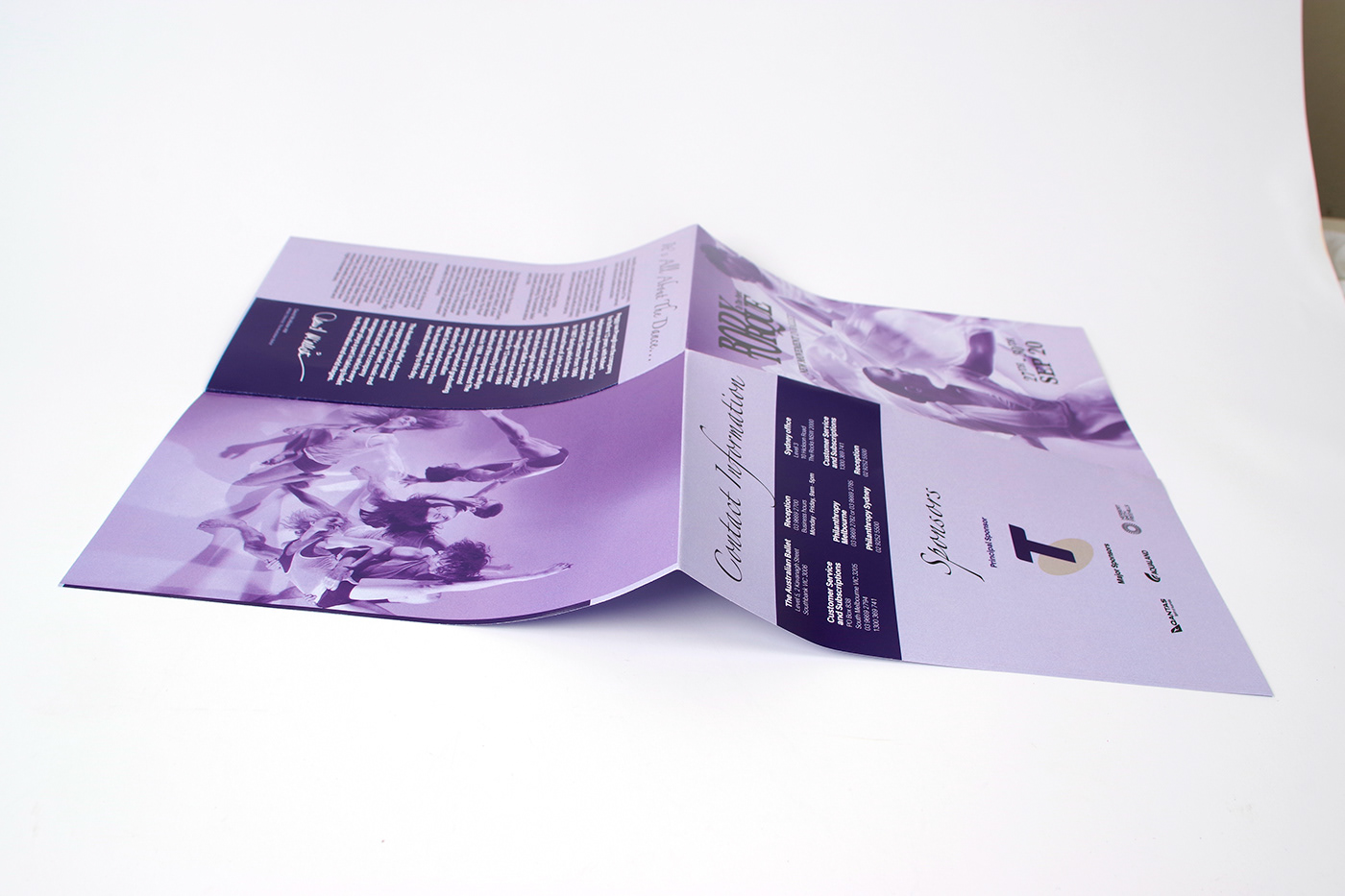 a3 to a5 duo tone fold out brochure format graphic design  Layout print typography  