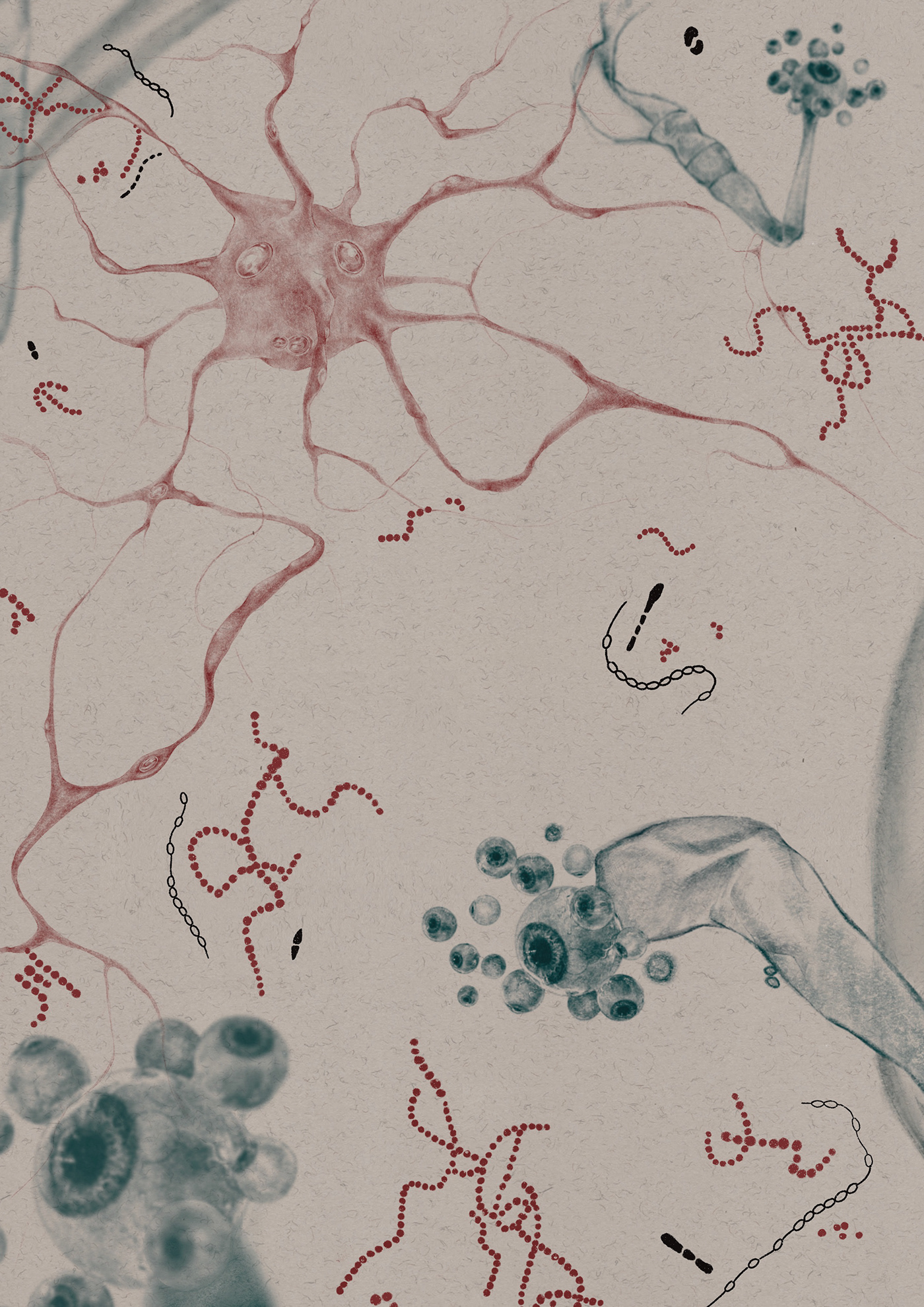 artwork digital illustration cells bioart microbiology Bacteria