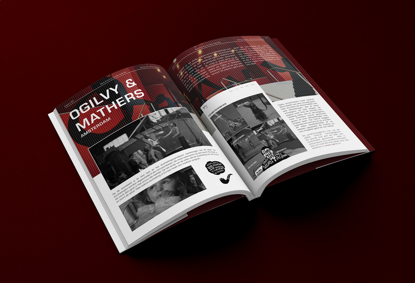 graphic design  simplistic clean red branding  portfolio creation passion