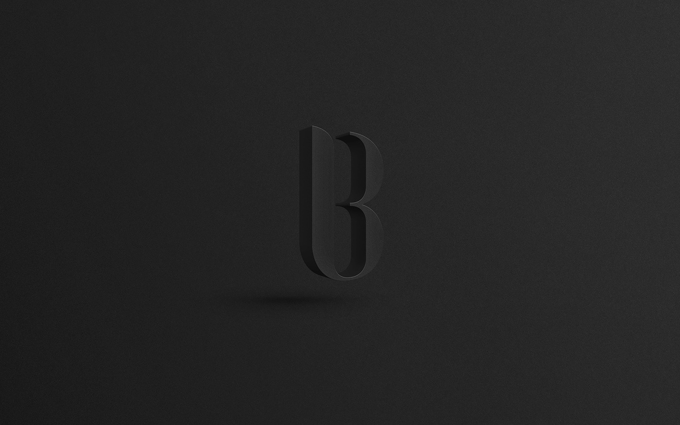logo branding  art direction Corporate Identity typography  