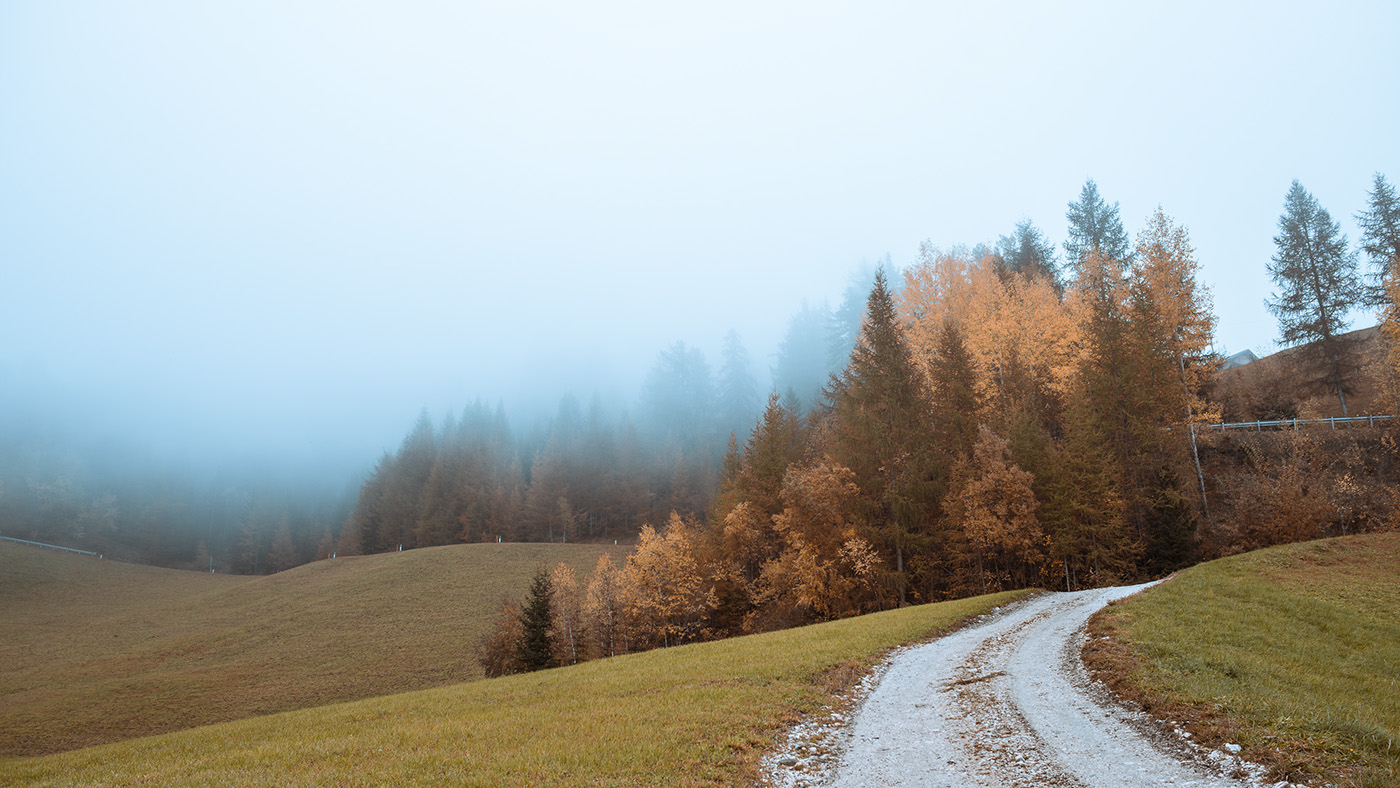 funes villnöß clouds fog south tyrol südtirol alto adige Italy italia wood forest mountain winter Nikon