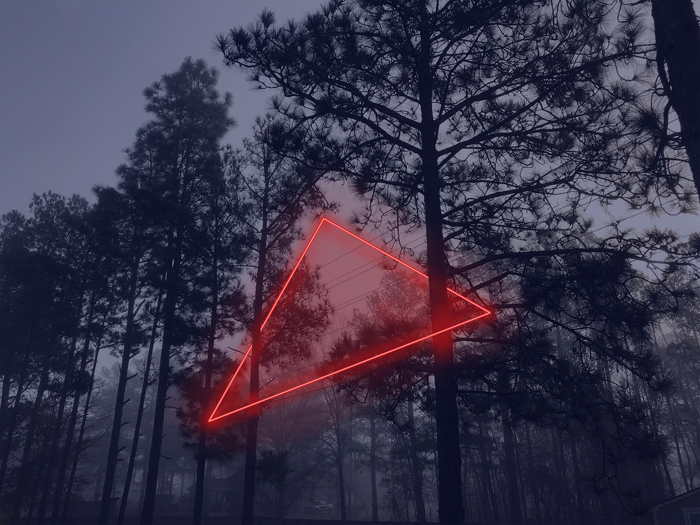 Photo Manipulation  neon forest graphic photoshop trees triangle woods atmospheric dark