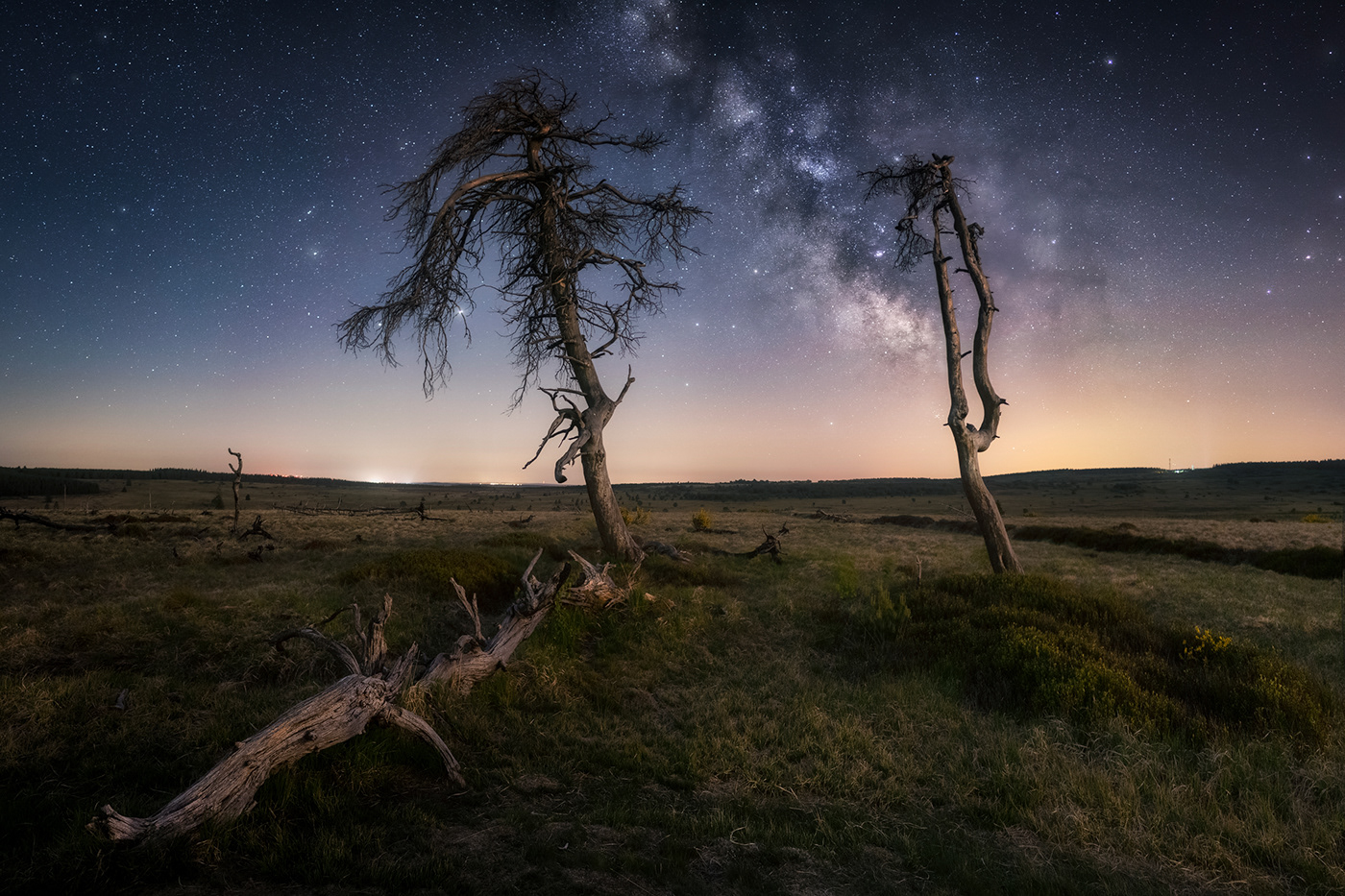 Core of the milky way with burnt pine trees in the foreground in a desolated area of Belgium