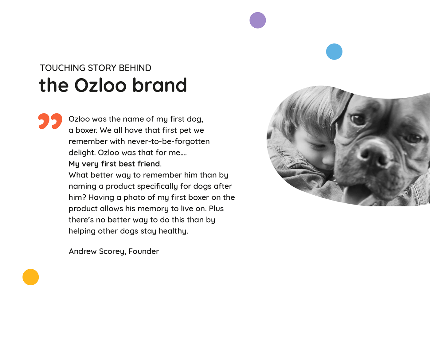 branding  identity Packaging pets veterinary visual identity