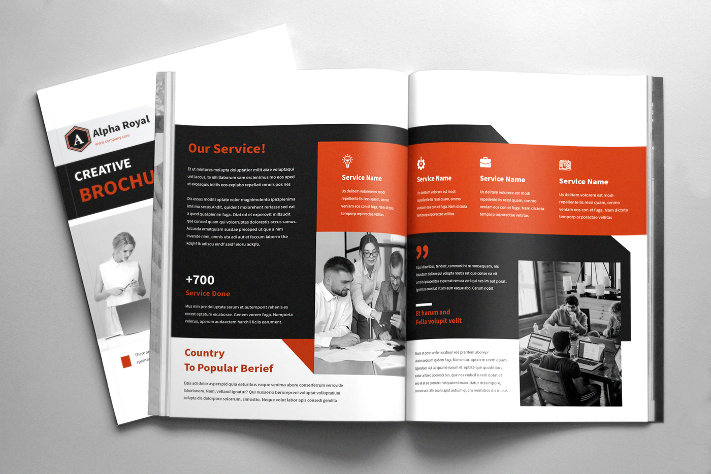 Booklet brochure brochure design business brochure Company Brochure Corporate Brochure magazine profile Proposal white paper