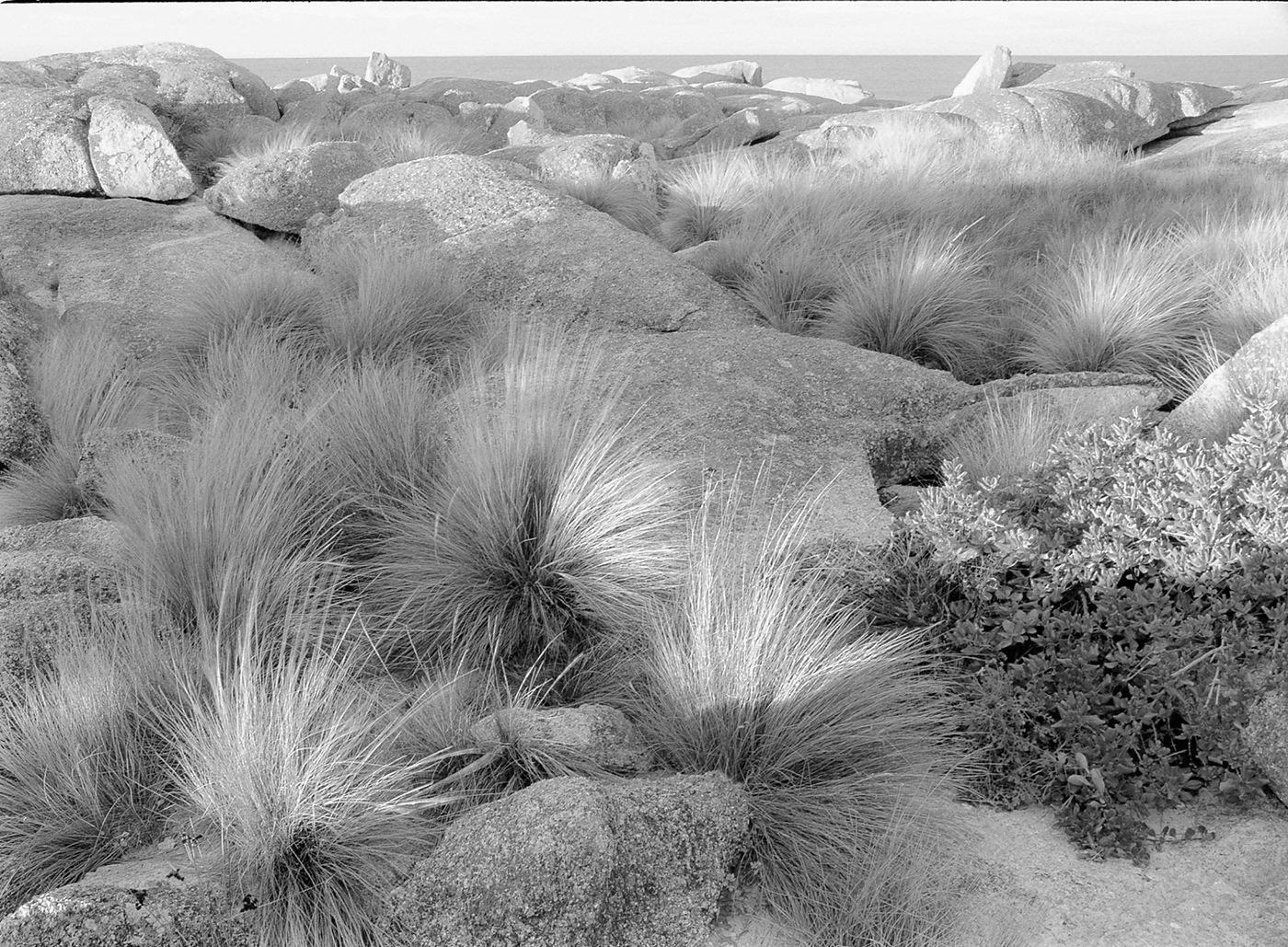 black and white Photography  Landscape Kodak TMax 400 film photography 35mm analog photography kodak Film   Kodak TMax 100