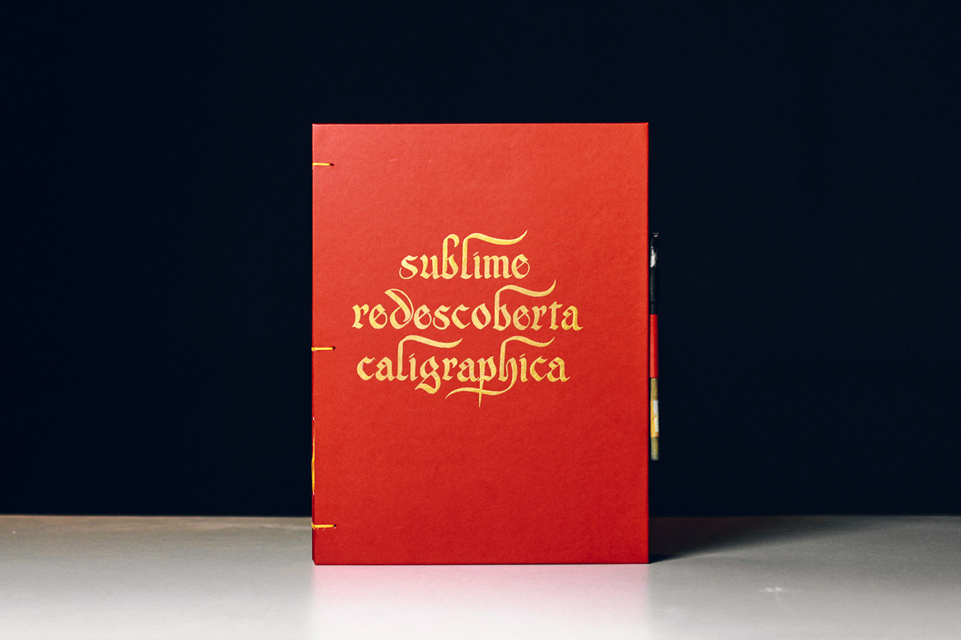 Calligraphy   caligrafia book type Handlettering lettering Livro Fotografia story