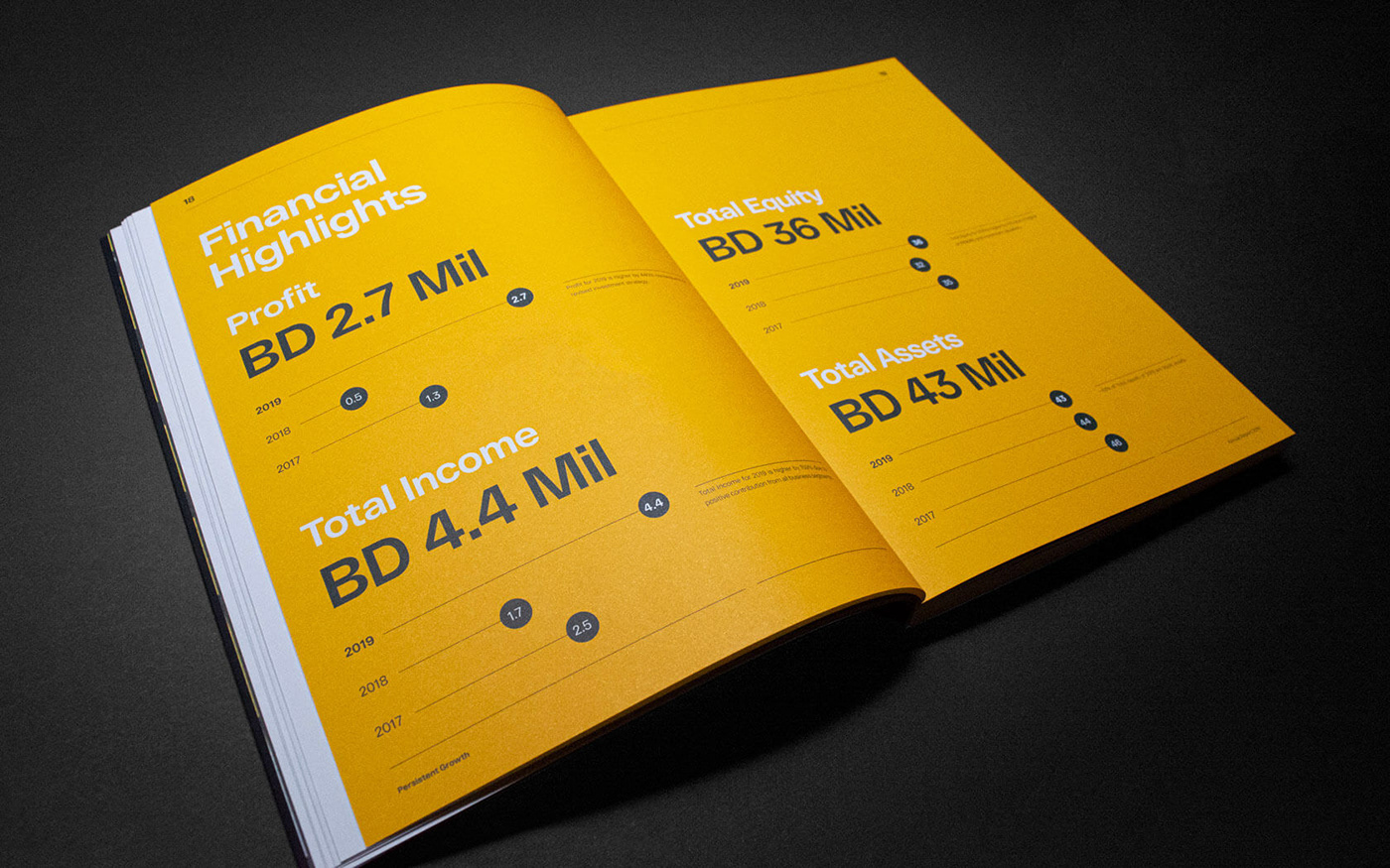 annual report brochure corporate financial minimal print typography   book graphic design  Layout