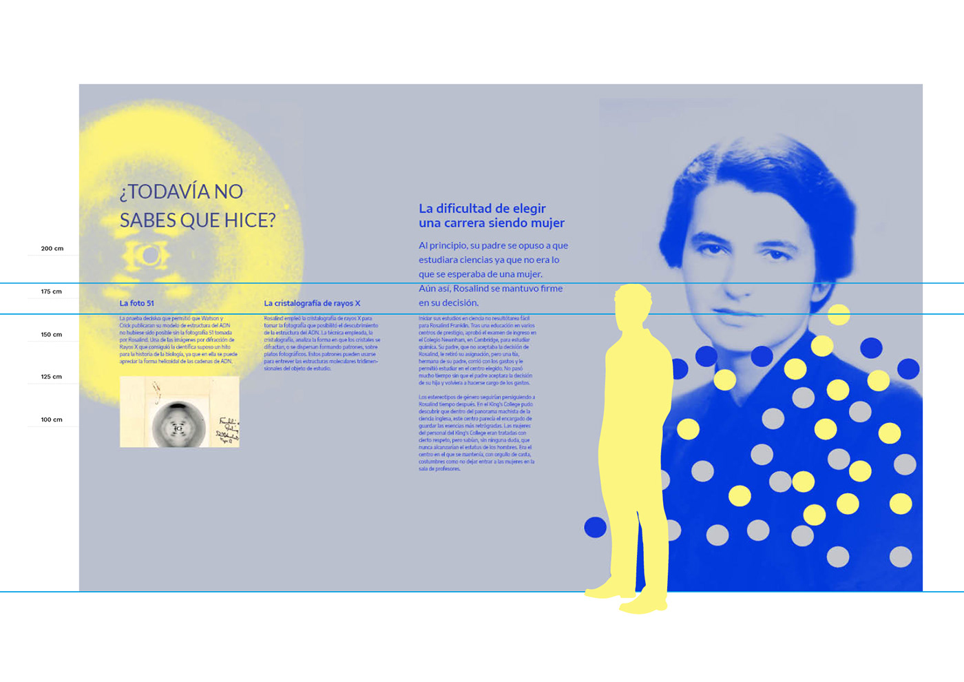 diseño gráfico identidad visual museografia ciencia Rosalind Franklin