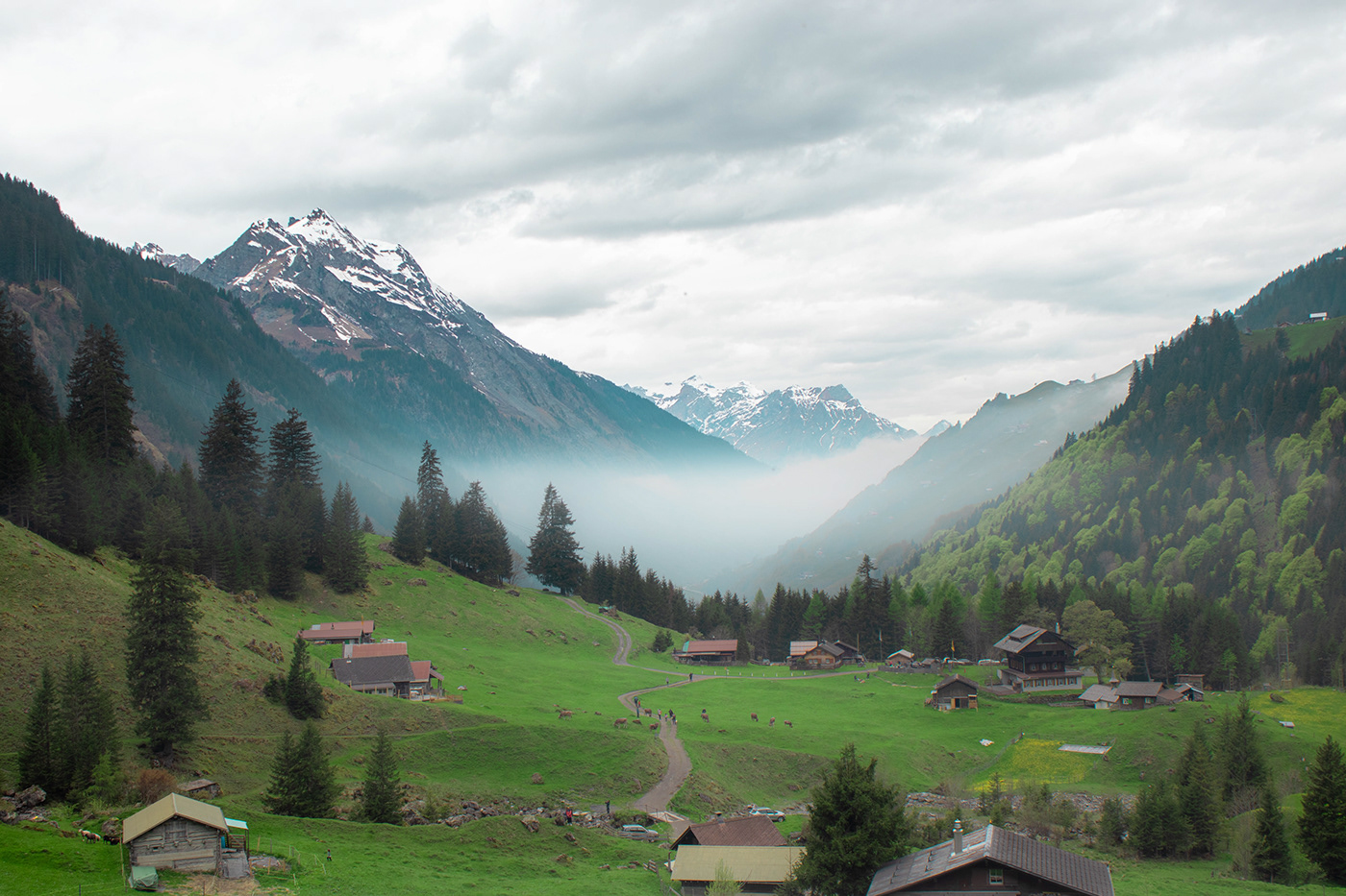 Schweiz Switzerland Nature Landscape Travel mountains
