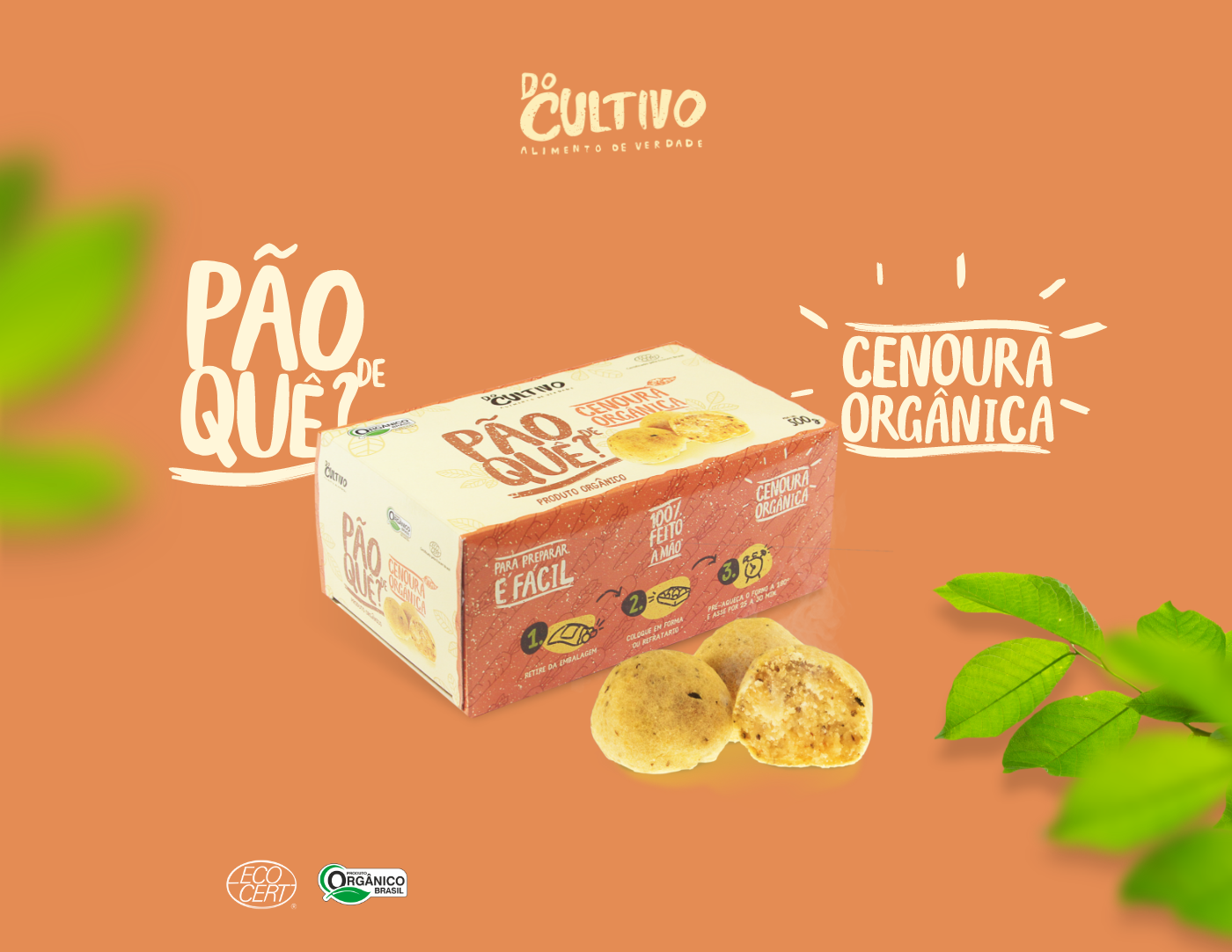 artesanal vegan Sustainability sustentabilidade organic organico Food  brand Rustico packing