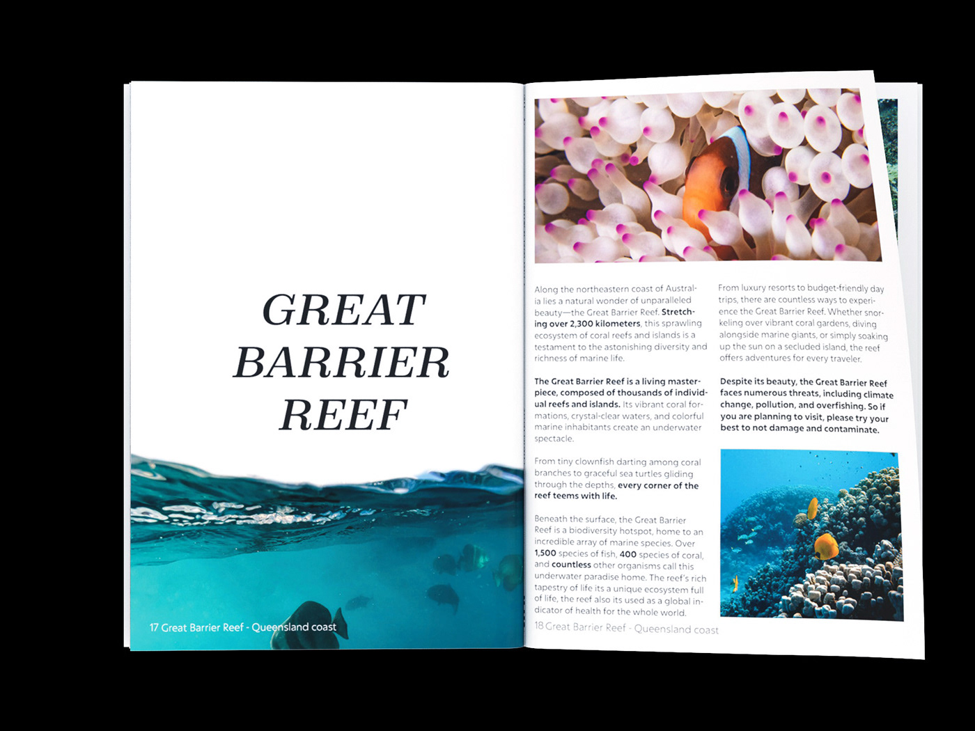 Great barrier reef magazine section
