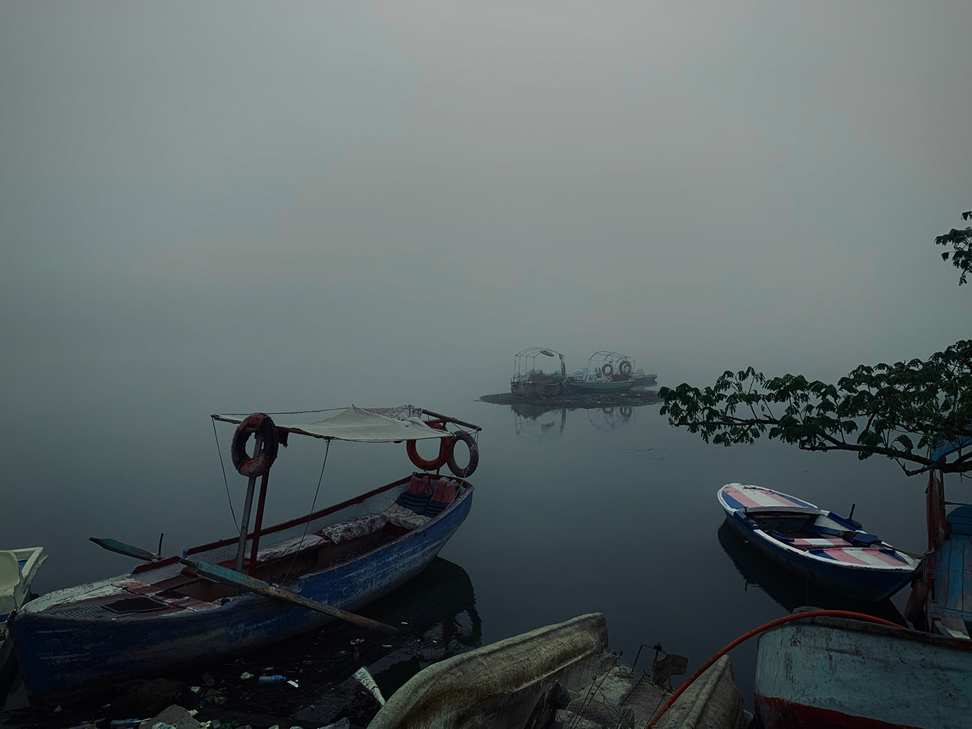 blue cozy Fade fog foggy mobilephotography photograph Photography  tune
