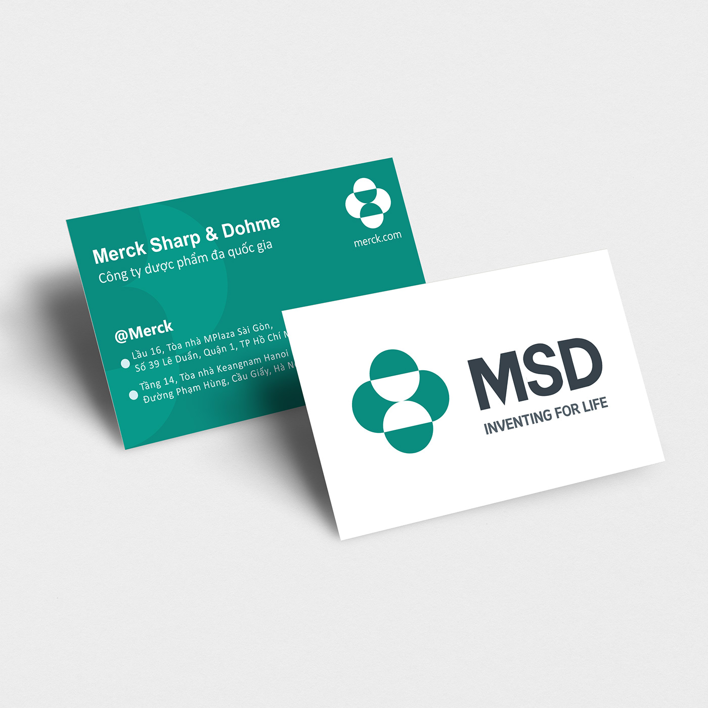 brand identity card visit design envelope File folder lettering marketing   profile visual