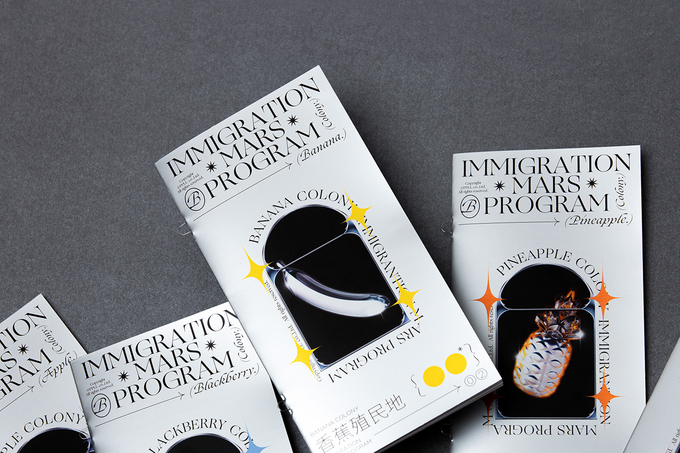 graphic 3D design Illustrator Immigration mars print Program typography  