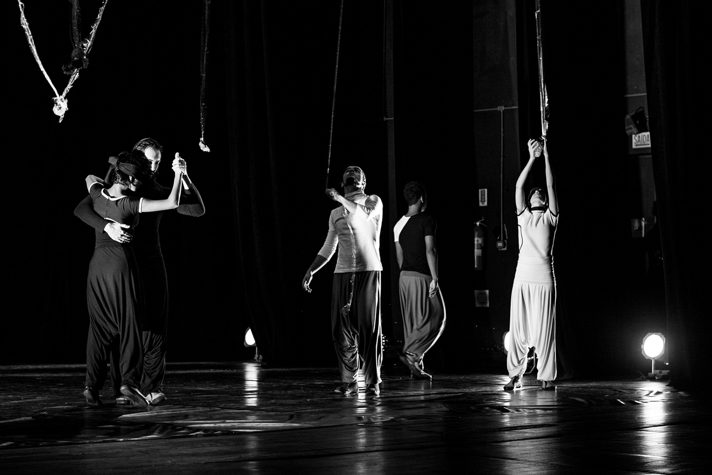 dança DANCE   Dança de Salão dança contemporânea espetáculo dancers fotografia de danca dance photography