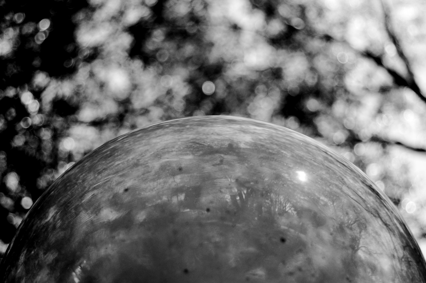 Photography  black and white geraldianas geometric contrast grain