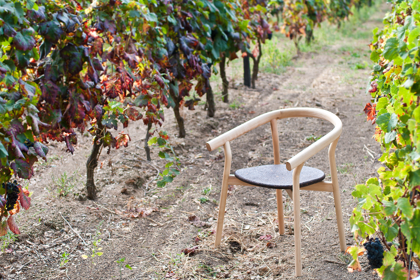 chair wood cork Portugal wine decoration home armchair ecodesign Sustainability