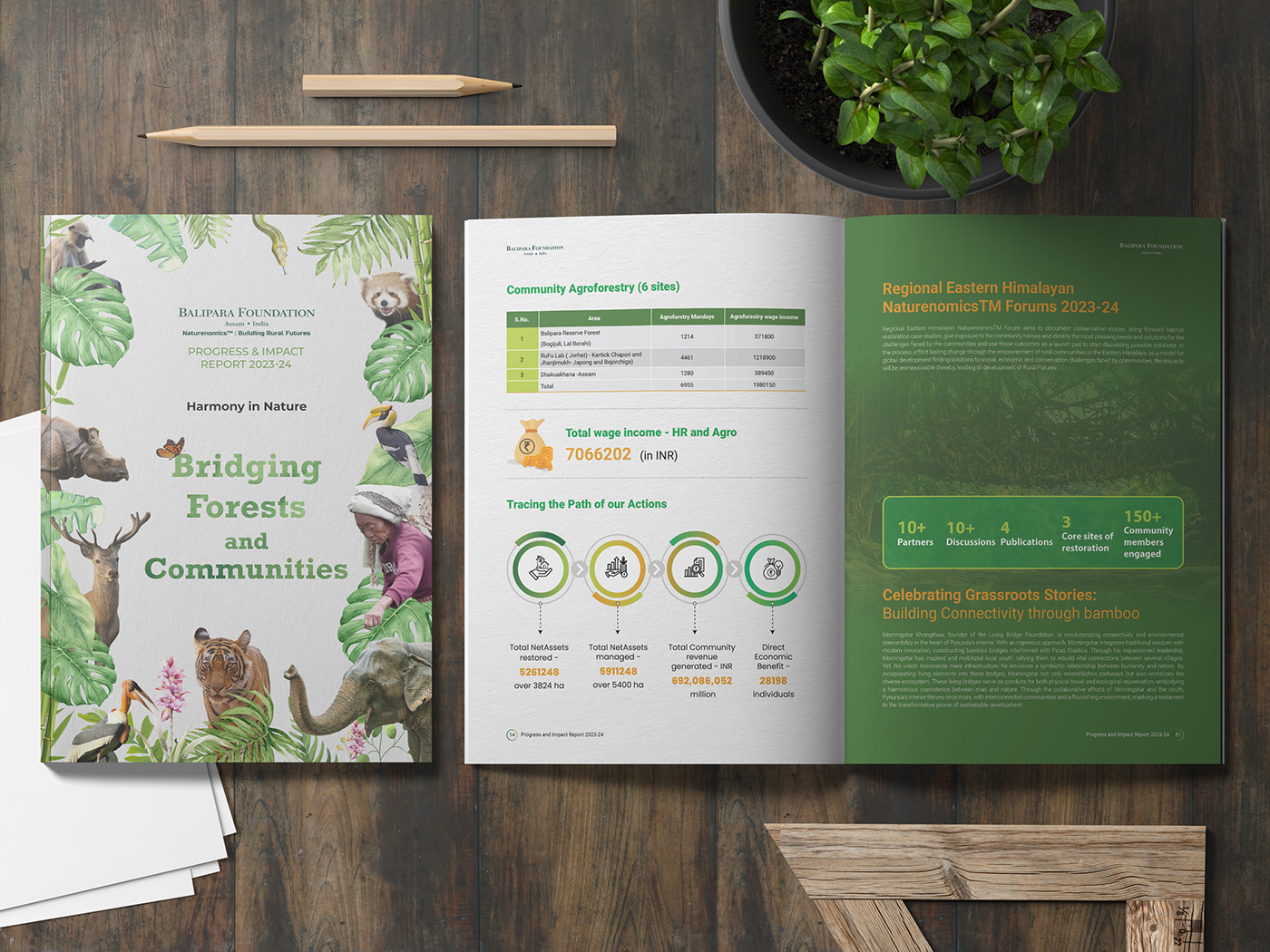 ebook Corporate Report Design e-book book design graphic design  Layout Design page layout sustainability report corporate brochure design Pdf lead magnet design