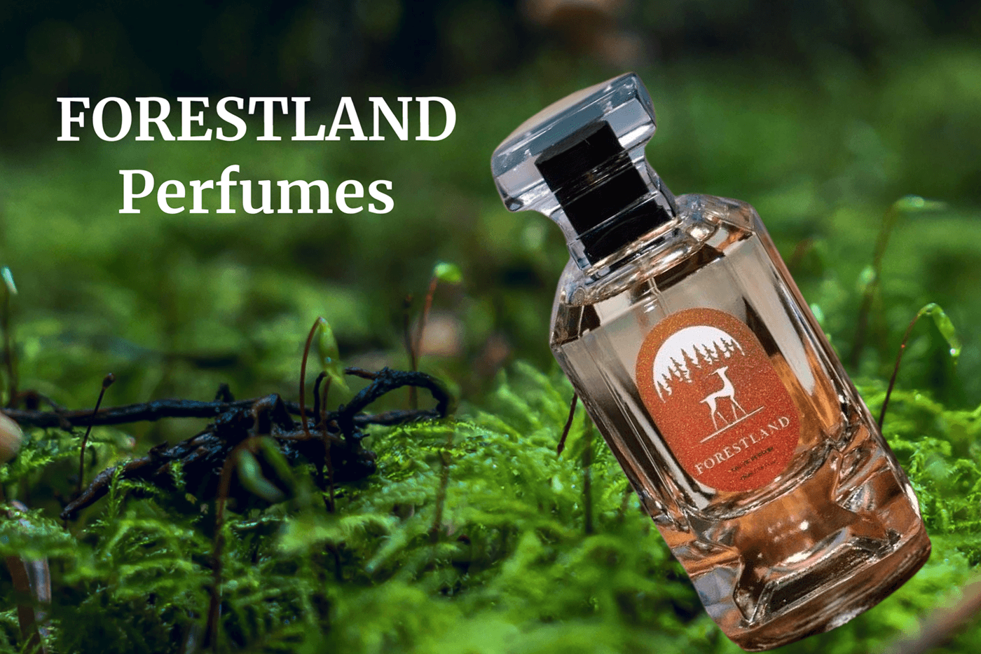 forestland perfume product EDP