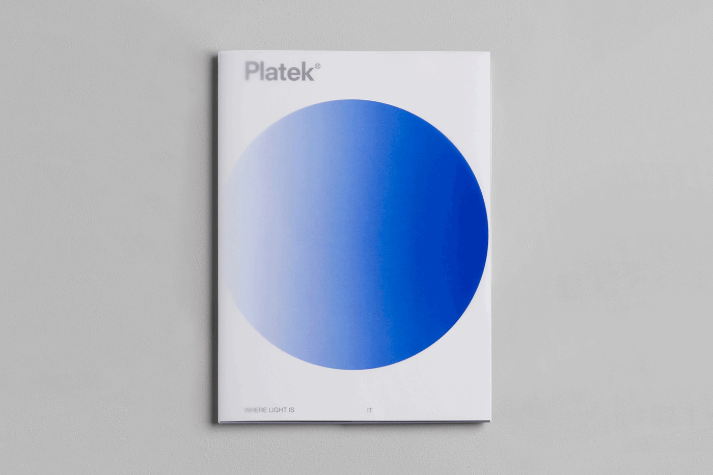 book brand companyprofile editorial gradient graphicdesign identity light platek  typography  