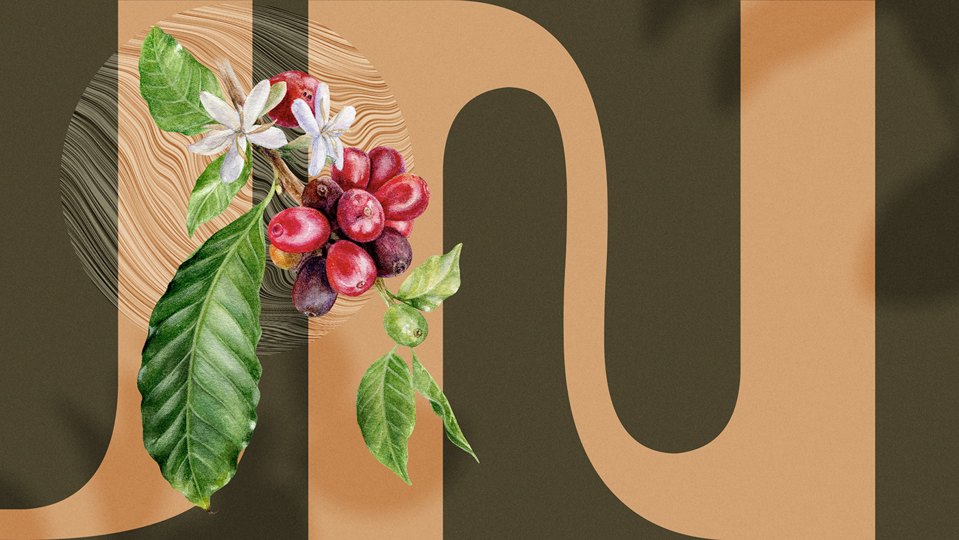 arabic brand Brand Design brand identity branding  Coffee logo Logo Design Packaging packaging design